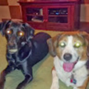 Meet your Posher, Katy